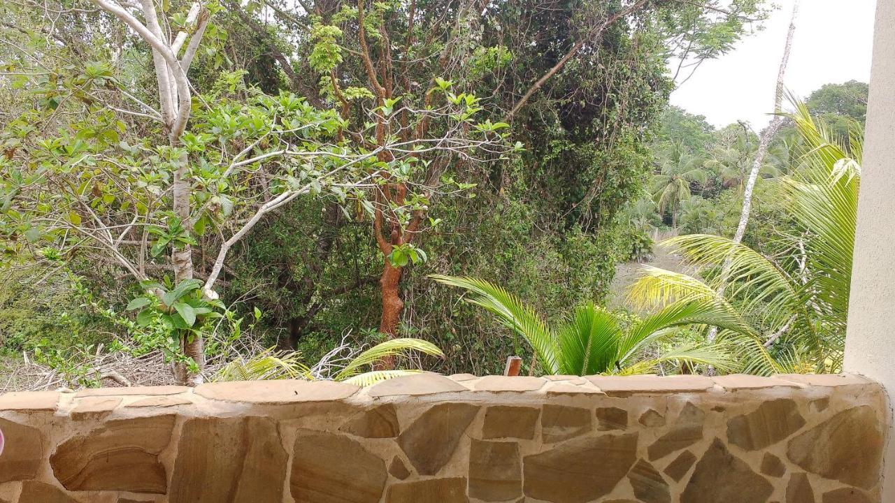 Montezuma Hills - Two Houses In A Private Compound Ngoại thất bức ảnh