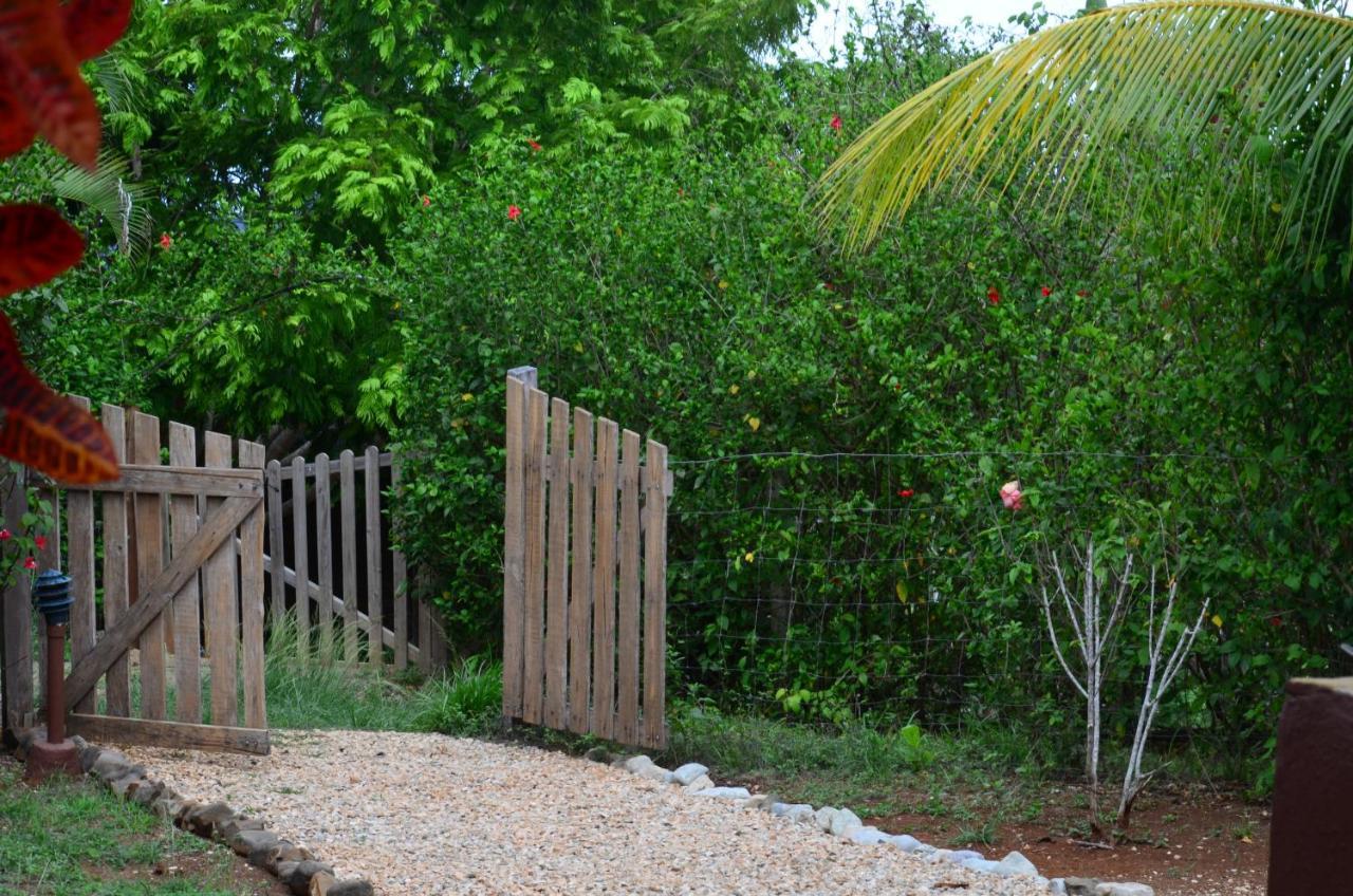 Montezuma Hills - Two Houses In A Private Compound Ngoại thất bức ảnh
